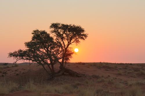 endless horizons namibia - kalahari